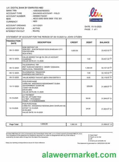 UAE Liv. Digital Bank statement of account Word and PDF template